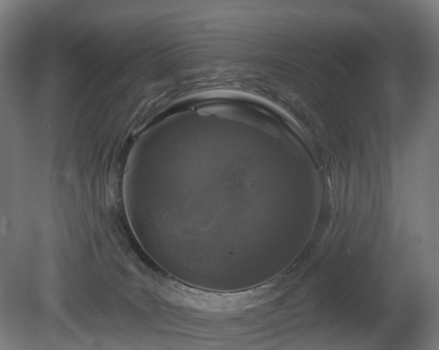 X0000080100035200612151632