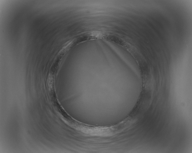 X0000080100036200612151632