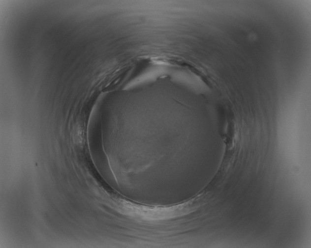 X0000080100039200612151632