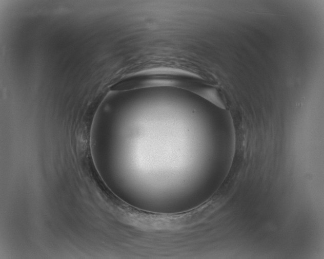 X0000080100040200612151632