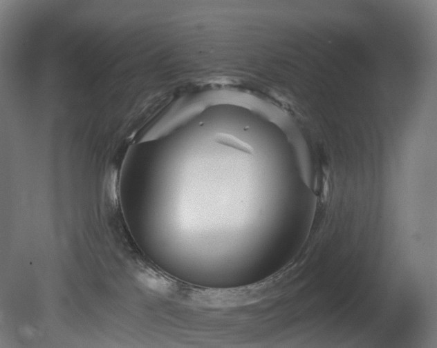 X0000080100041200612151632