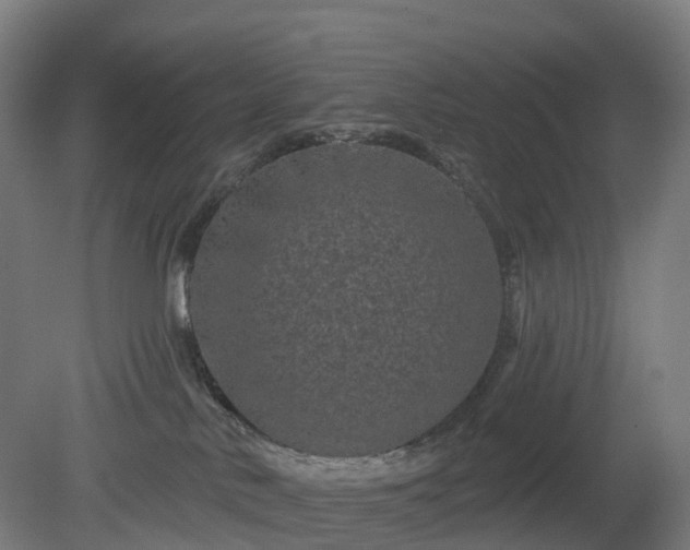 X0000080100042200612151632