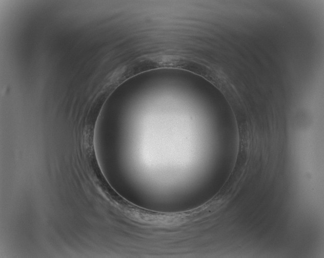 X0000080100044200612151632