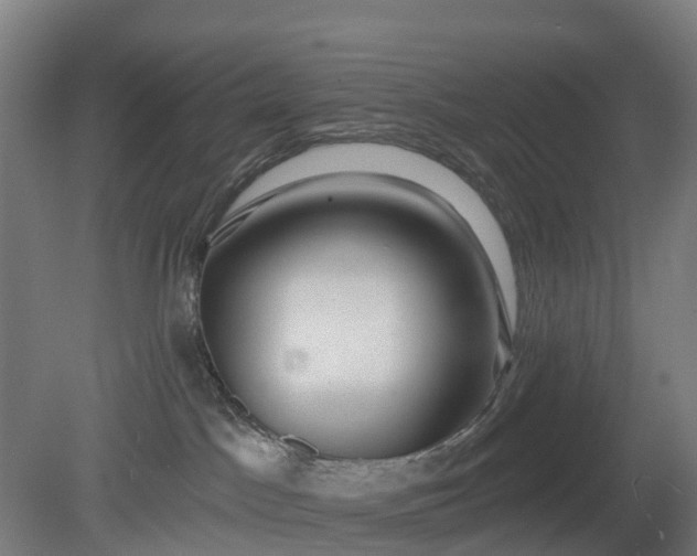 X0000080100045200612151632