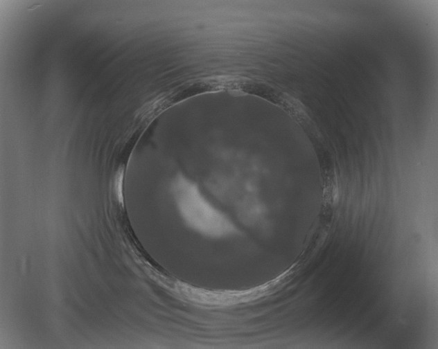 X0000080100047200612151632