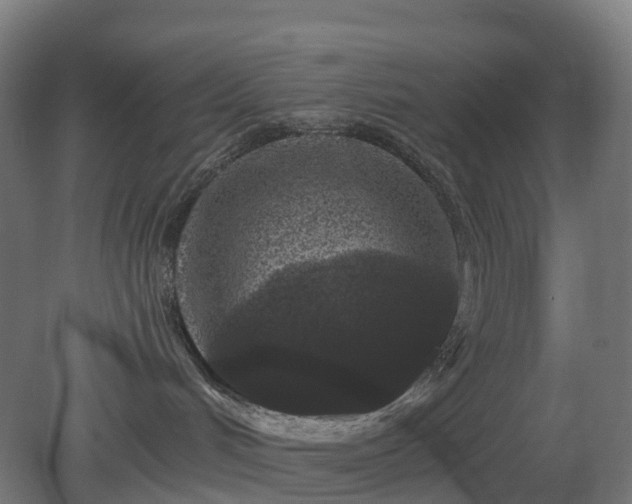 X0000080100048200612151632