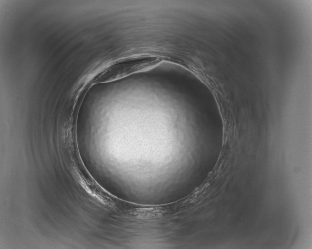 X0000080100050200612151631