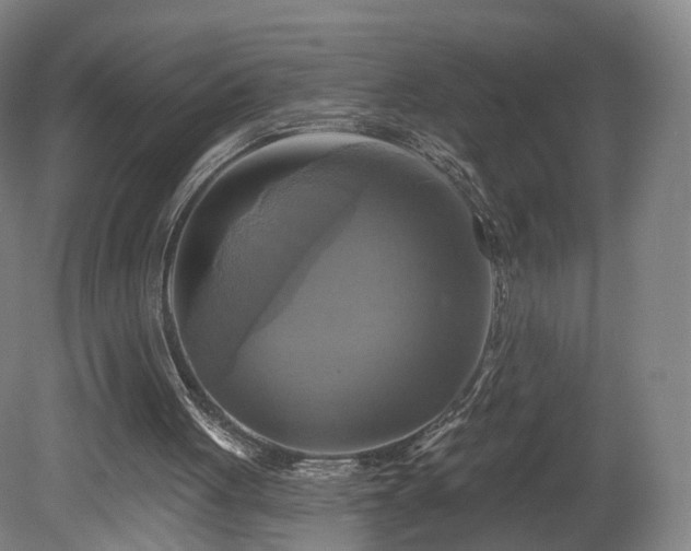 X0000080100051200612151631