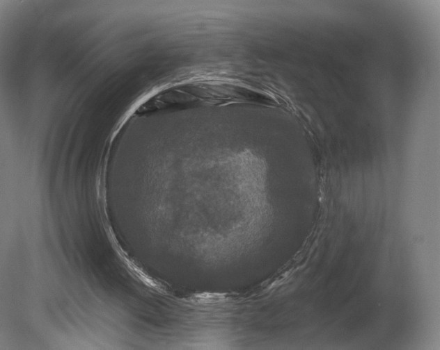 X0000080100052200612151631