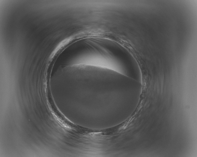 X0000080100054200612151631