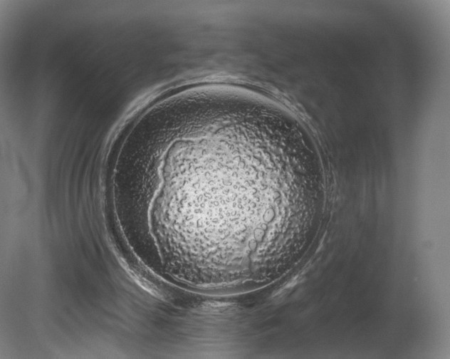 X0000080100055200612151631