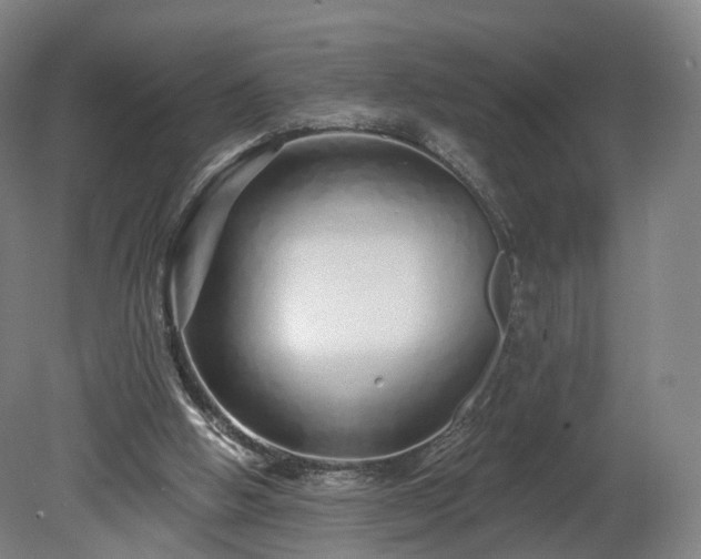 X0000080100058200612151631