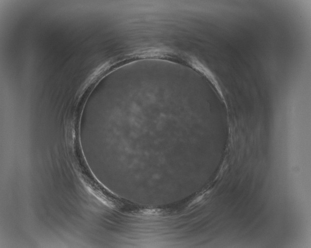 X0000080100059200612151631