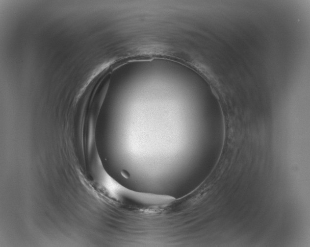 X0000080100060200612151631