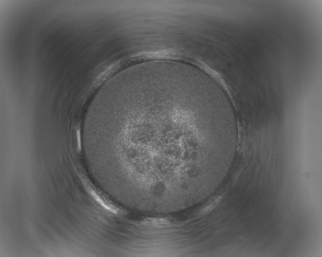 X0000080100061200612151631