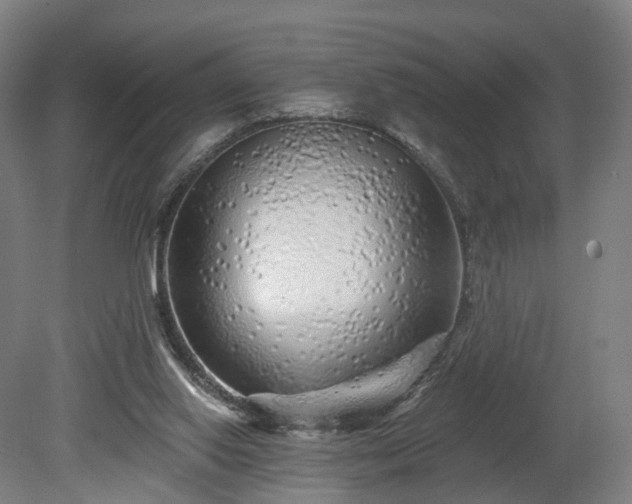 X0000080100062200612151631