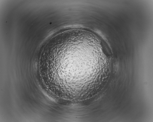 X0000080100063200612151631