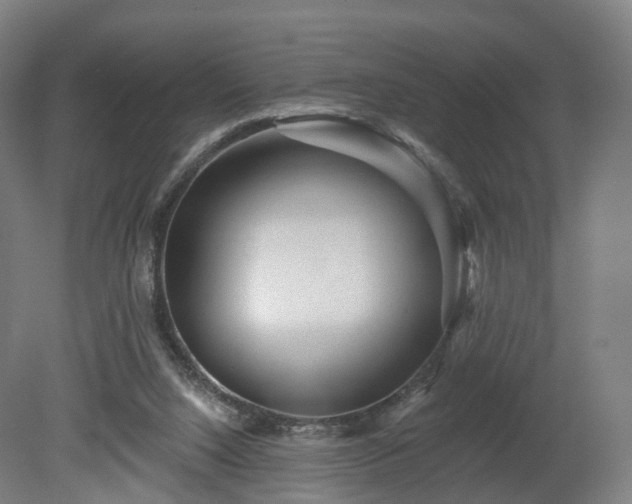 X0000080100064200612151631