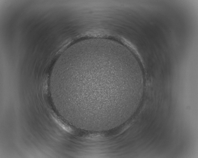 X0000080100065200612151631