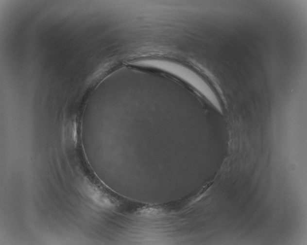 X0000080100067200612151632