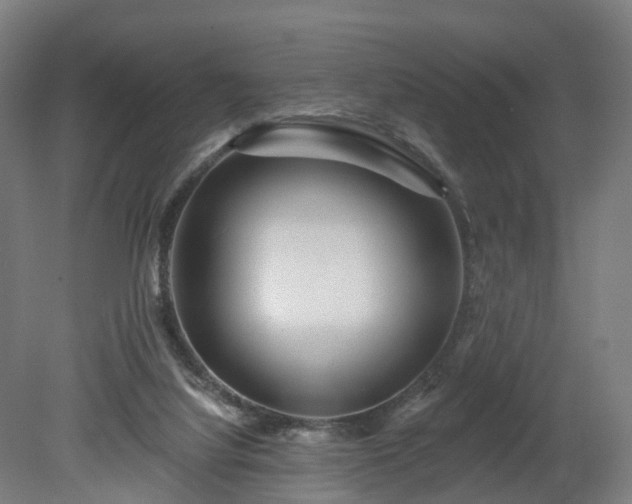 X0000080100068200612151632