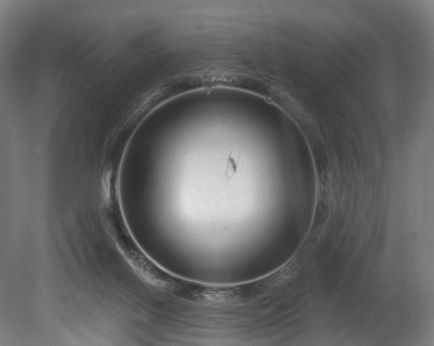 X0000080100070200612151632