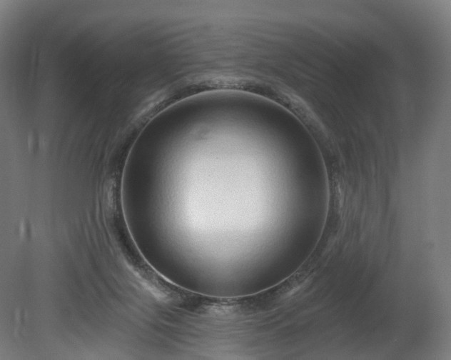 X0000080100071200612151632