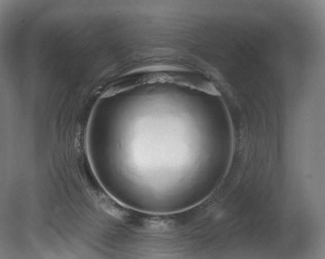 X0000080100073200612151632