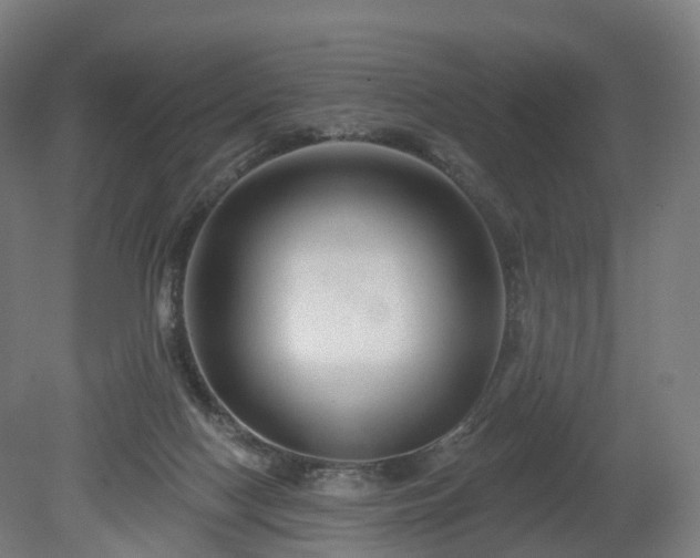 X0000080100074200612151632