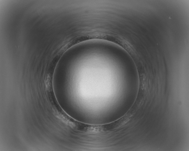 X0000080100077200612151632