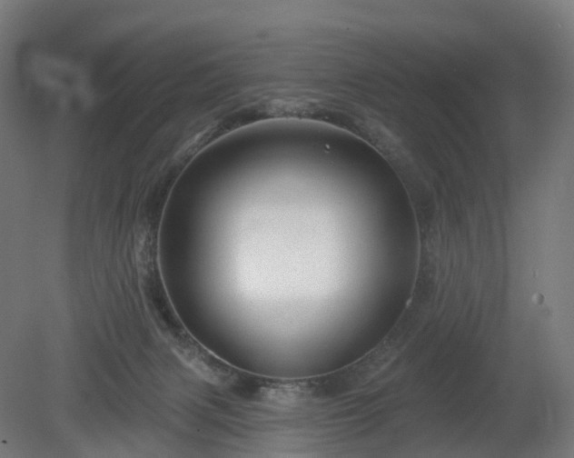 X0000080100079200612151632