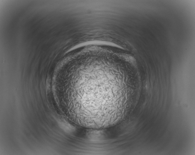 X0000080100081200612151632