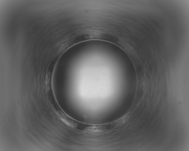 X0000080100082200612151632