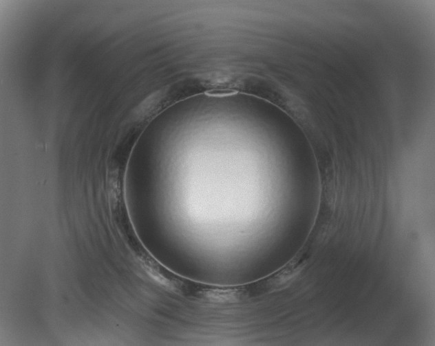 X0000080100085200612151632