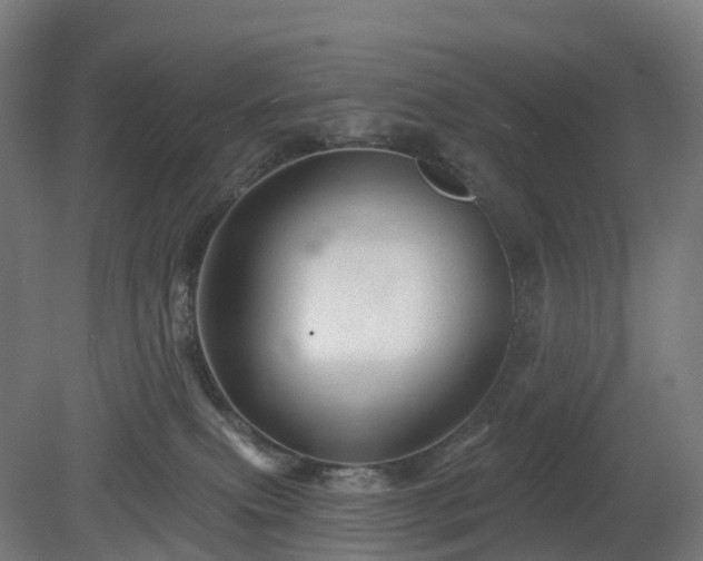 X0000080100087200612151632