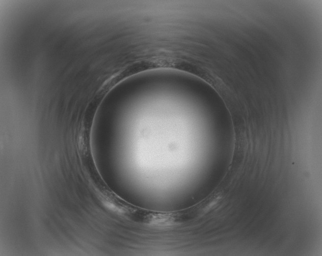 X0000080100088200612151632