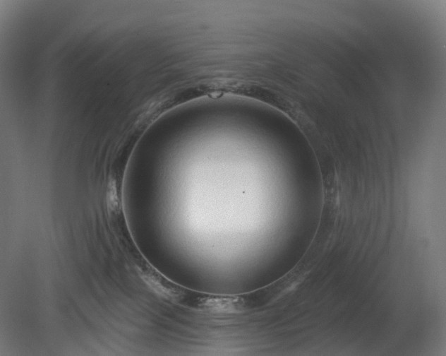 X0000080100089200612151632