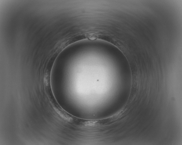 X0000080100090200612151632