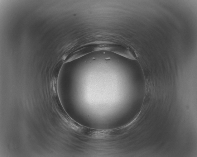 X0000080100094200612151632