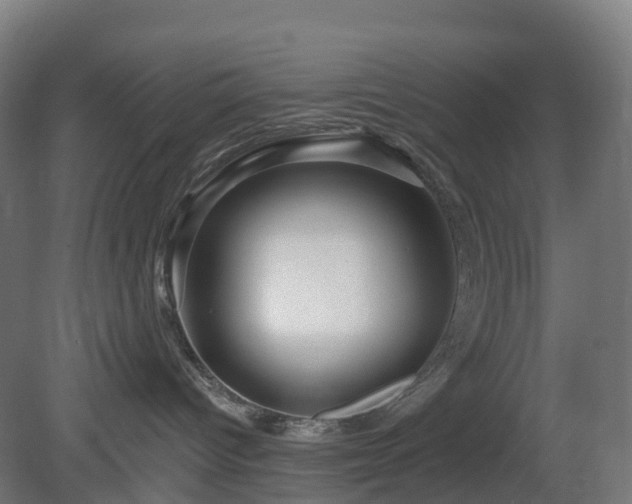 X0000080100096200612151632