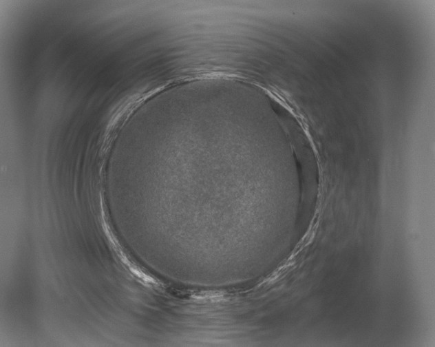 X0000080100097200612151631