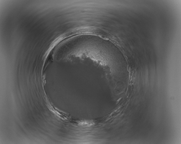 X0000080100099200612151631