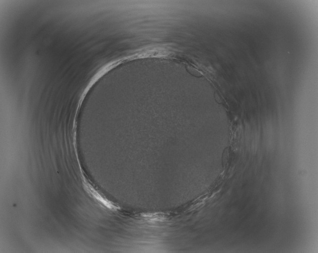 X0000080100100200612151631