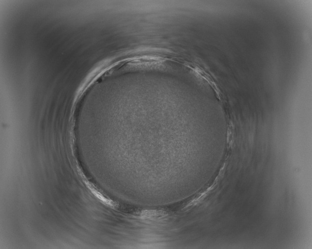 X0000080100101200612151631