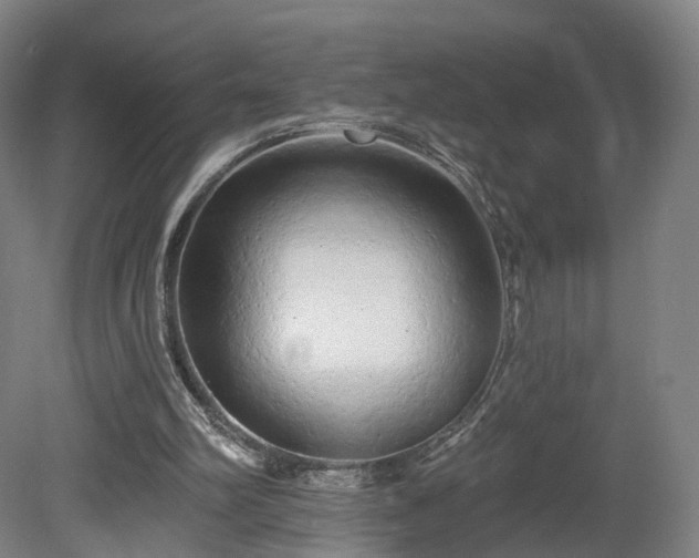 X0000080100102200612151631