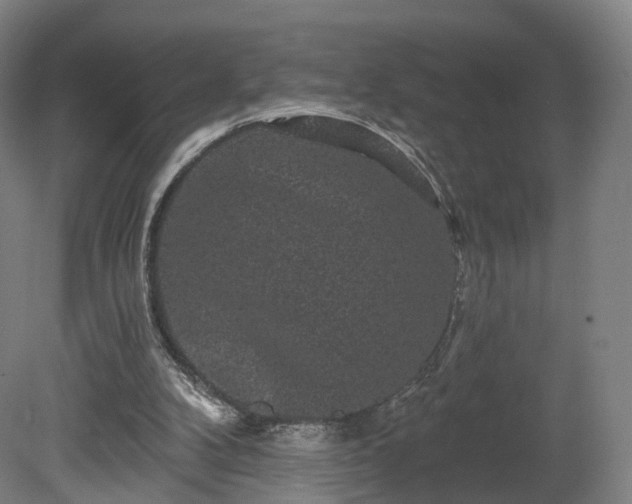 X0000080100104200612151631