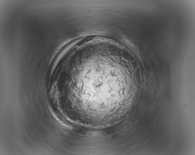 X0000080100107200612151631