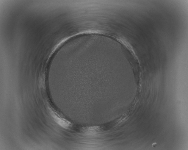 X0000080100108200612151631