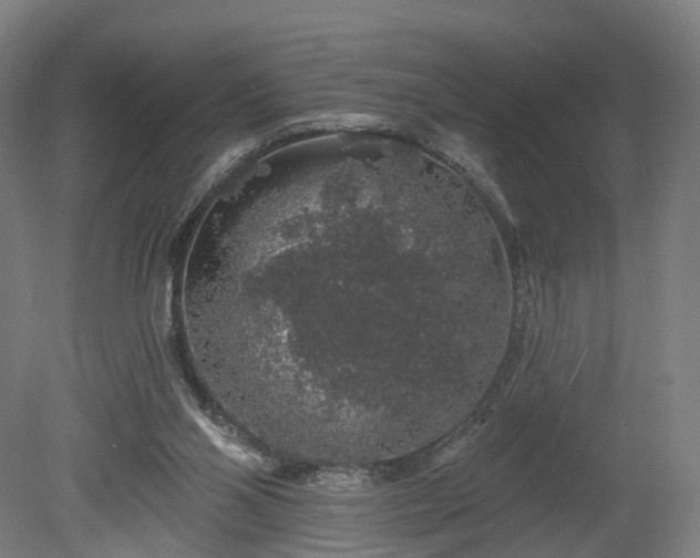 X0000080100110200612151631