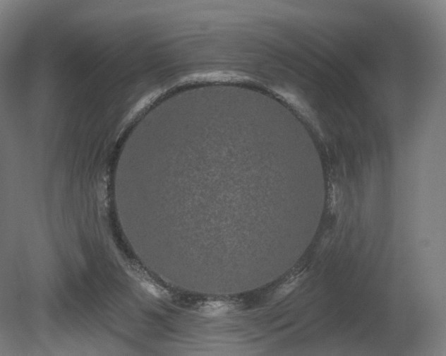 X0000080100111200612151631